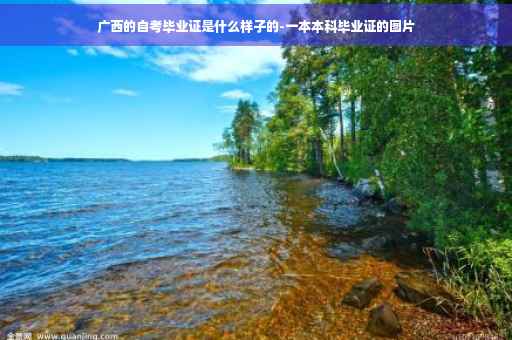 广西的自考毕业证是什么样子的-一本本科毕业证的图片