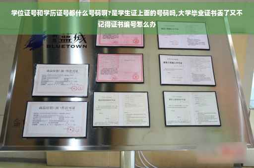 学位证号和学历证号都什么号码啊?是学生证上面的号码吗,大学毕业证书丢了又不记得证书编号怎么办