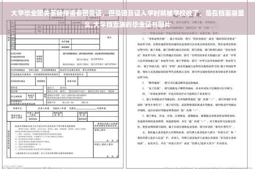 大学毕业团关系转接需要团员证，但是团员证入学时就被学校收了，是在档案袋里么,大学档案袋的毕业证书图片