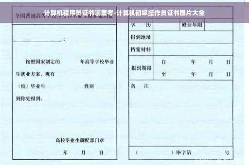 计算机程序员证书哪里考-计算机初级操作员证书图片大全