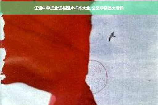 江津中学毕业证书图片样本大全,公交学院是大专吗
