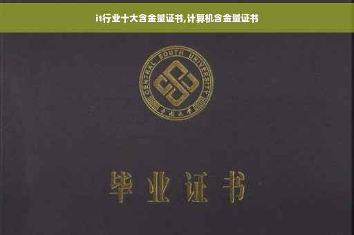 it行业十大含金量证书,计算机含金量证书