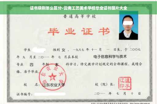 证书级别怎么区分-云南工艺美术学校毕业证书图片大全