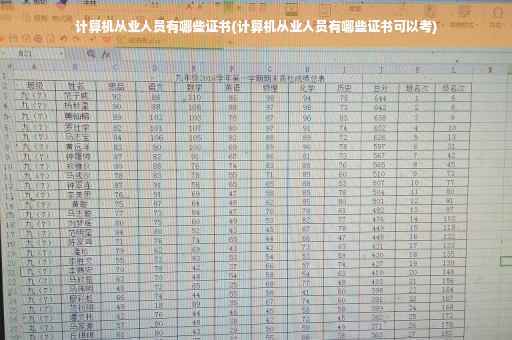 计算机从业人员有哪些证书(计算机从业人员有哪些证书可以考)