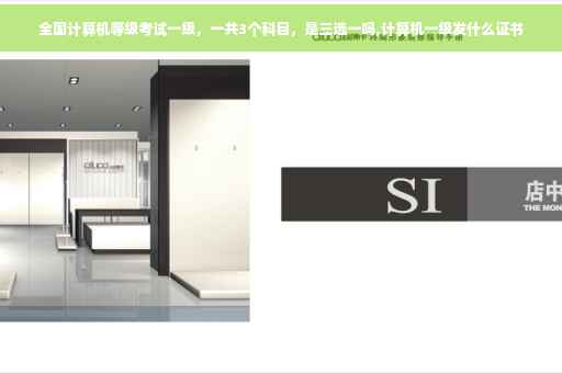 全国计算机等级考试一级，一共3个科目，是三选一吗,计算机一级发什么证书