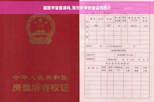 蓝图学堂靠谱吗,菁华中学毕业证书图片