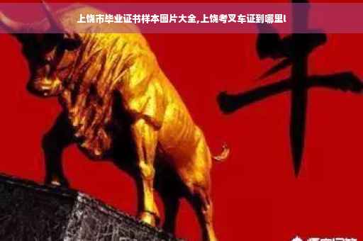 上饶市毕业证书样本图片大全,上饶考叉车证到哪里l