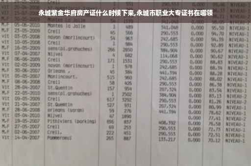 永城紫金华府房产证什么时候下来,永城市职业大专证书在哪领
