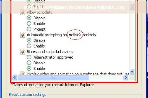 贸大硕士毕业证书样本图片(贸大硕士毕业证书样本图片大全)