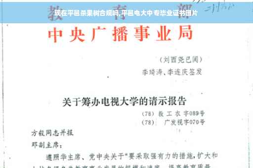 现在平邑杀果树合规吗,平邑电大中专毕业证书图片