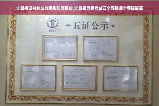 计算机证书怎么分级别和等级的,计算机等级考试四个等级哪个等级最高