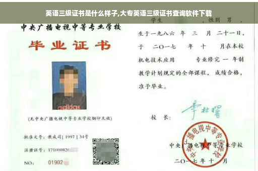 英语三级证书是什么样子,大专英语三级证书查询软件下载
