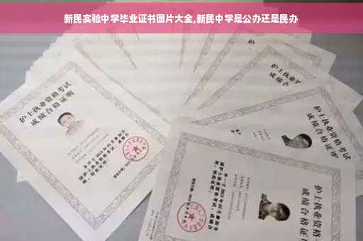 新民实验中学毕业证书图片大全,新民中学是公办还是民办