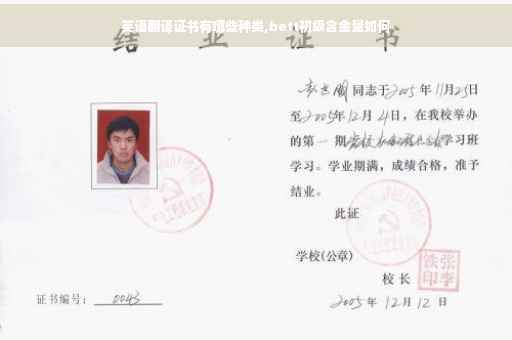 英语翻译证书有哪些种类,bett初级含金量如何
