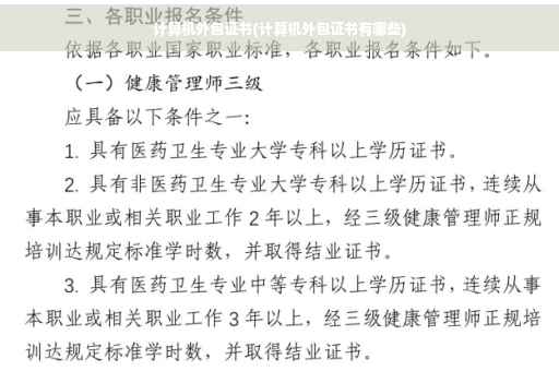 计算机外包证书(计算机外包证书有哪些)