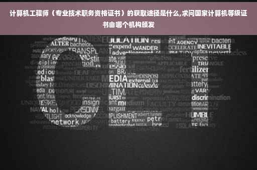 计算机工程师（专业技术职务资格证书）的获取途径是什么,求问国家计算机等级证书由哪个机构颁发