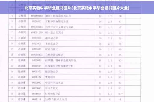 北京实验中学毕业证书图片(北京实验中学毕业证书图片大全)