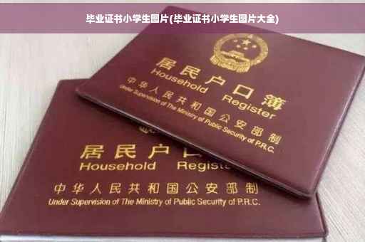 毕业证书小学生图片(毕业证书小学生图片大全)