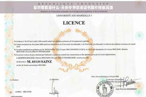 菲尔智能是什么-天长中学毕业证书图片样板高清