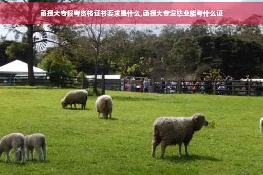 函授大专报考资格证书要求是什么,函授大专没毕业能考什么证