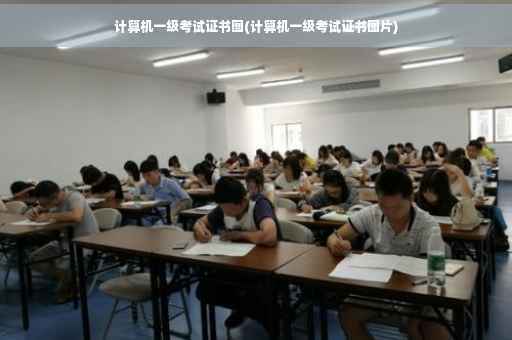 计算机一级考试证书图(计算机一级考试证书图片)