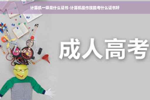 计算机一级是什么证书-计算机操作技能考什么证书好