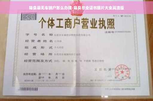 陆良县无车销户怎么办理-陆良毕业证书图片大全高清版