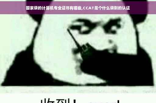 国家级的计算机专业证书有哪些,CCAT是个什么级别的认证