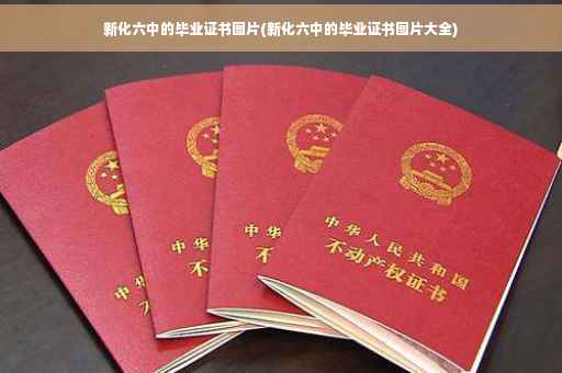 新化六中的毕业证书图片(新化六中的毕业证书图片大全)
