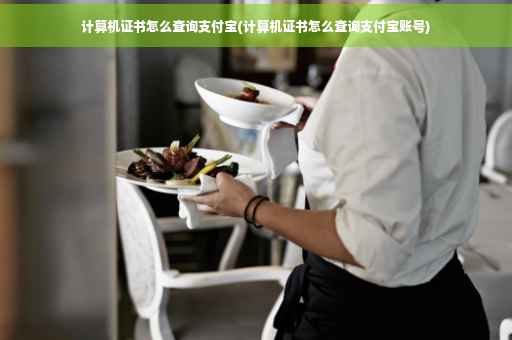 计算机证书怎么查询支付宝(计算机证书怎么查询支付宝账号)