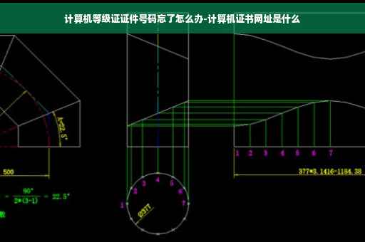 计算机等级证证件号码忘了怎么办-计算机证书网址是什么