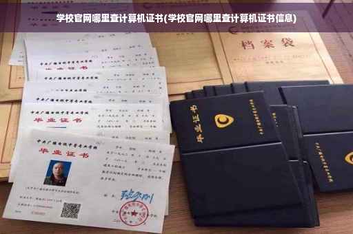 学校官网哪里查计算机证书(学校官网哪里查计算机证书信息)