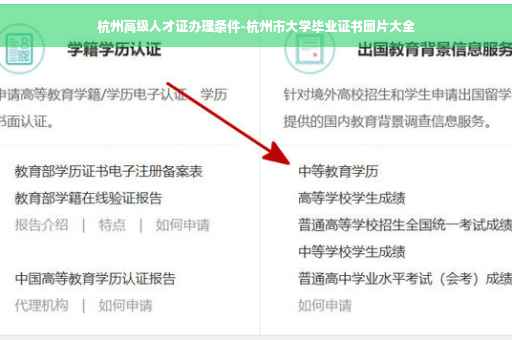 杭州高级人才证办理条件-杭州市大学毕业证书图片大全