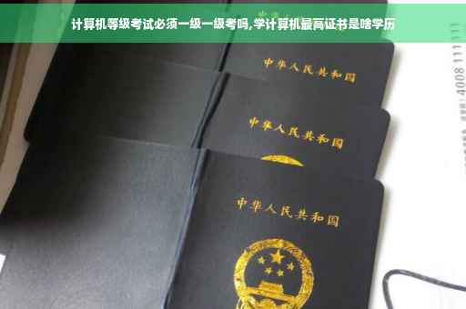 计算机等级考试必须一级一级考吗,学计算机最高证书是啥学历 计算机等级考试必须一级一级考吗,学计算机最高证书是啥学历