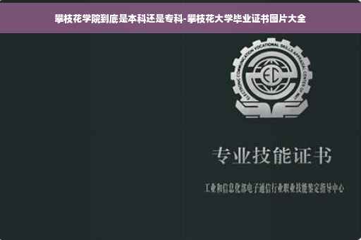 攀枝花学院到底是本科还是专科-攀枝花大学毕业证书图片大全