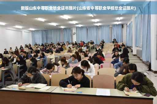 新版山东中等职业毕业证书图片(山东省中等职业学校毕业证图片)