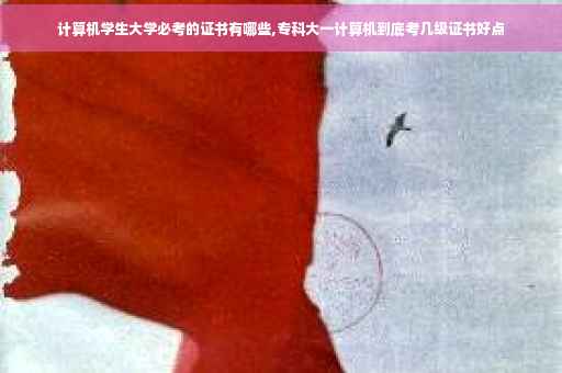 计算机学生大学必考的证书有哪些,专科大一计算机到底考几级证书好点