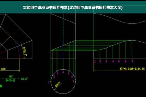 定边四中毕业证书图片样本(定边四中毕业证书图片样本大全)