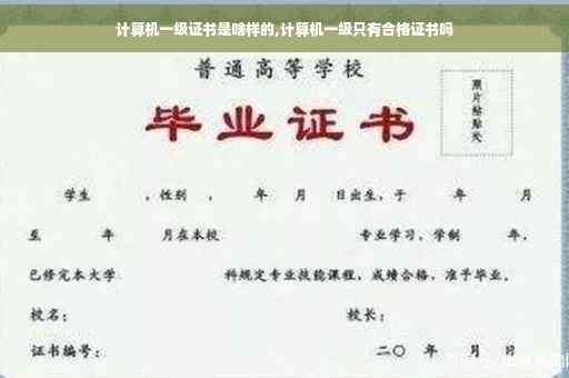 计算机一级证书是啥样的,计算机一级只有合格证书吗