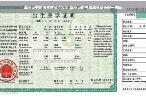 毕业证书拍照素材图片大全,毕业证明书和毕业证长得一样吗