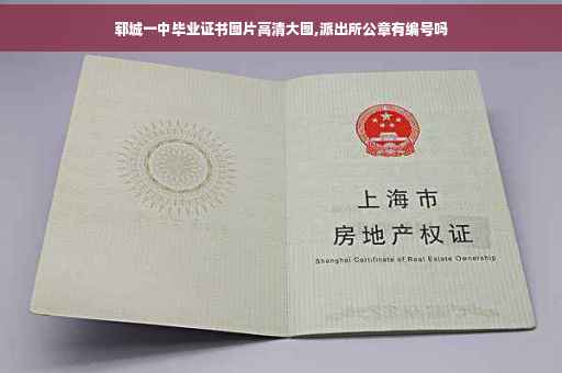 郓城一中毕业证书图片高清大图,派出所公章有编号吗
