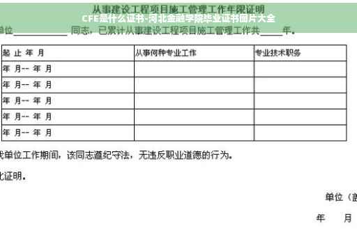 CFE是什么证书-河北金融学院毕业证书图片大全