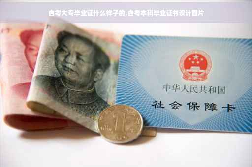 自考大专毕业证什么样子的,自考本科毕业证书设计图片