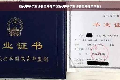 鹤岗中学毕业证书图片样本(鹤岗中学毕业证书图片样本大全)