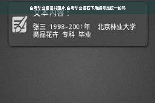 自考毕业证证书图片,自考毕业证右下角编号是统一的吗