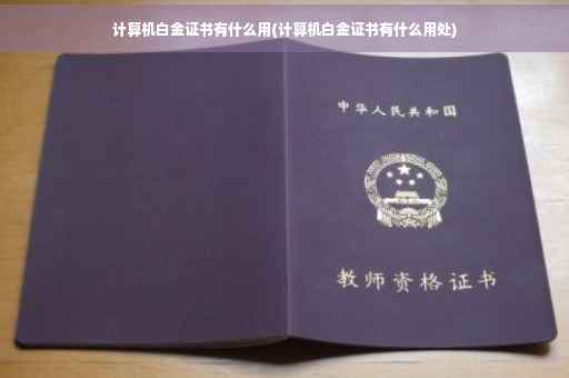 计算机白金证书有什么用(计算机白金证书有什么用处)