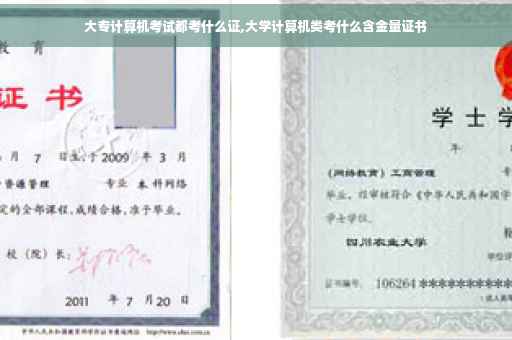 大专计算机考试都考什么证,大学计算机类考什么含金量证书