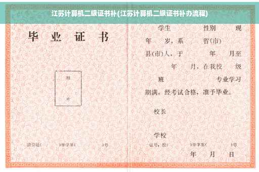 江苏计算机二级证书补(江苏计算机二级证书补办流程)