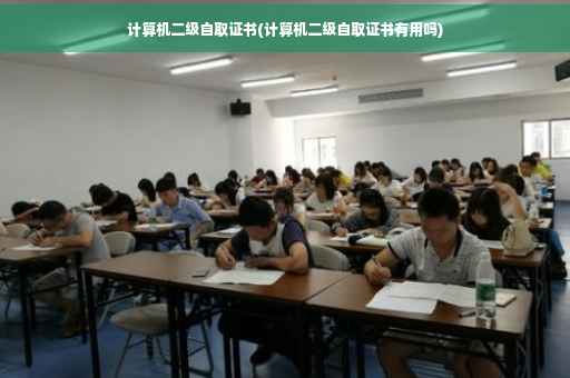 计算机二级自取证书(计算机二级自取证书有用吗)