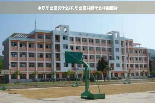 中职毕业证长什么样,毕业证书都什么样的图片